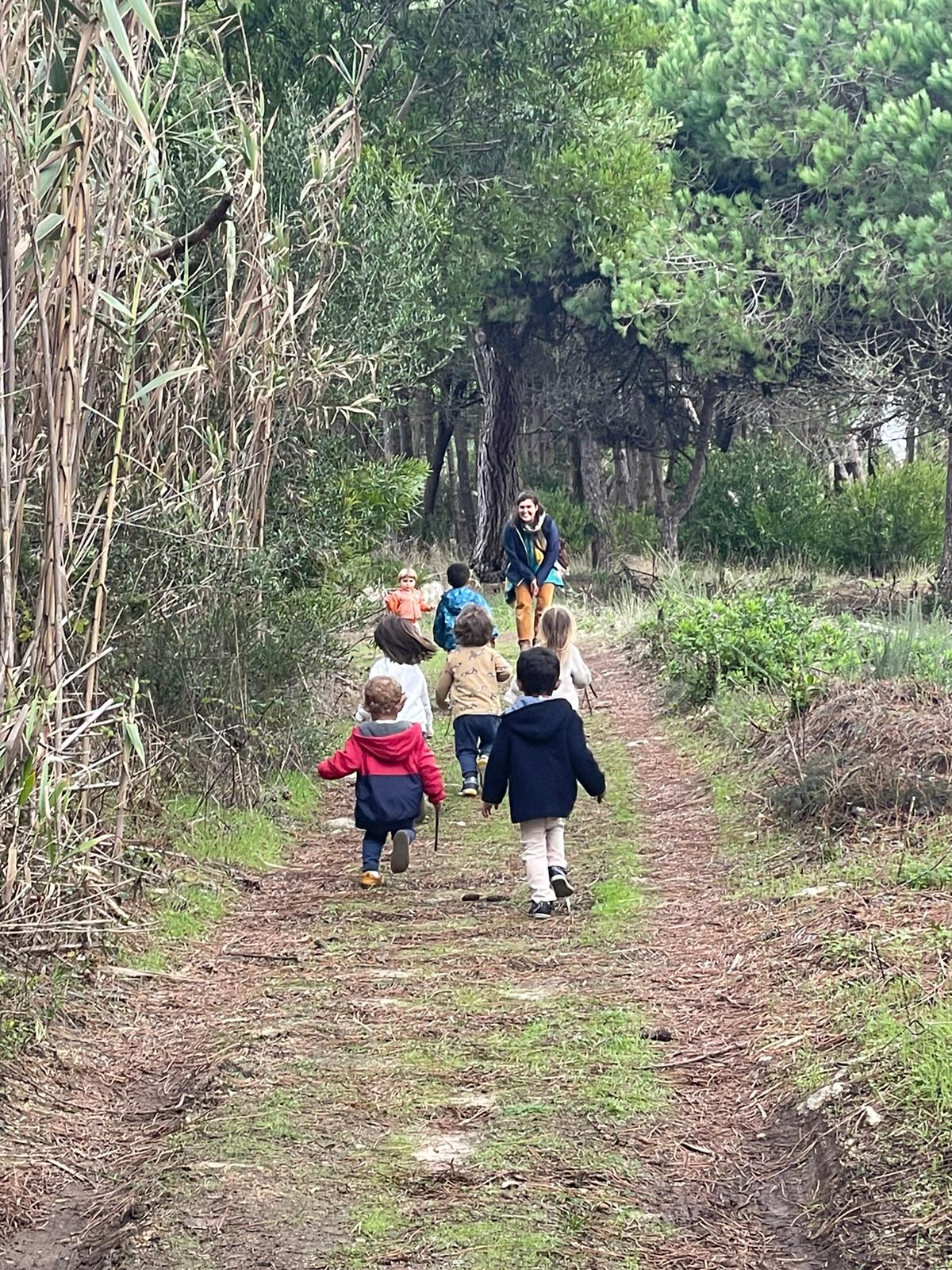 Crianças e uma educadora num caminho entre as árvores